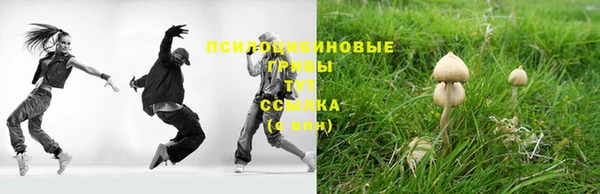 гашиш Дмитров