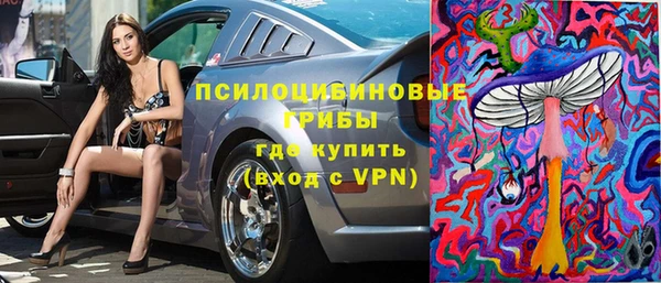 амф Дмитриев