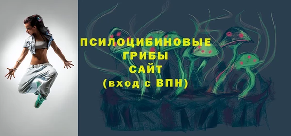 гидра Дмитровск