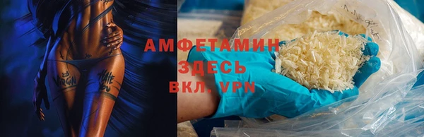 амф Дмитриев