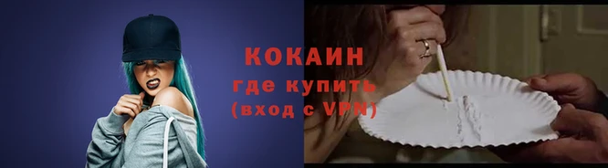амф Дмитриев