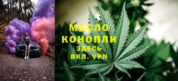 амф Дмитриев