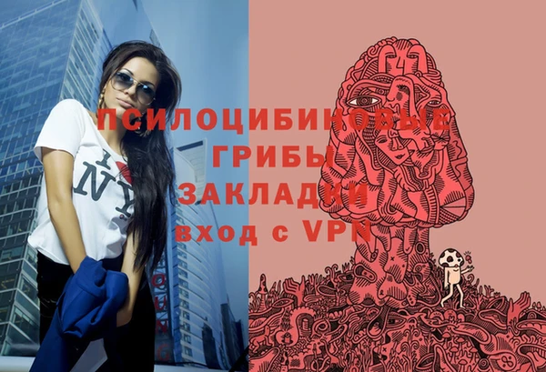 гидра Дмитровск