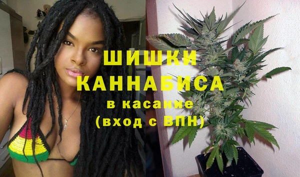 амф Дмитриев